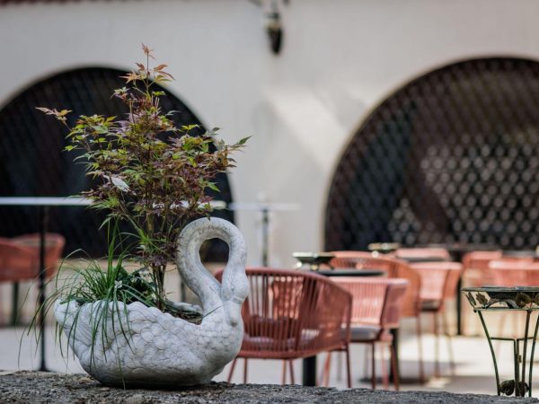 Evenimente Corporate la EkoGroup Vila: Într-un Decor de Vis